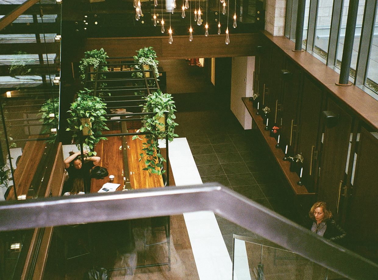 Hotel William Gray Greenery adorning the warm wooden interiors of the living room.