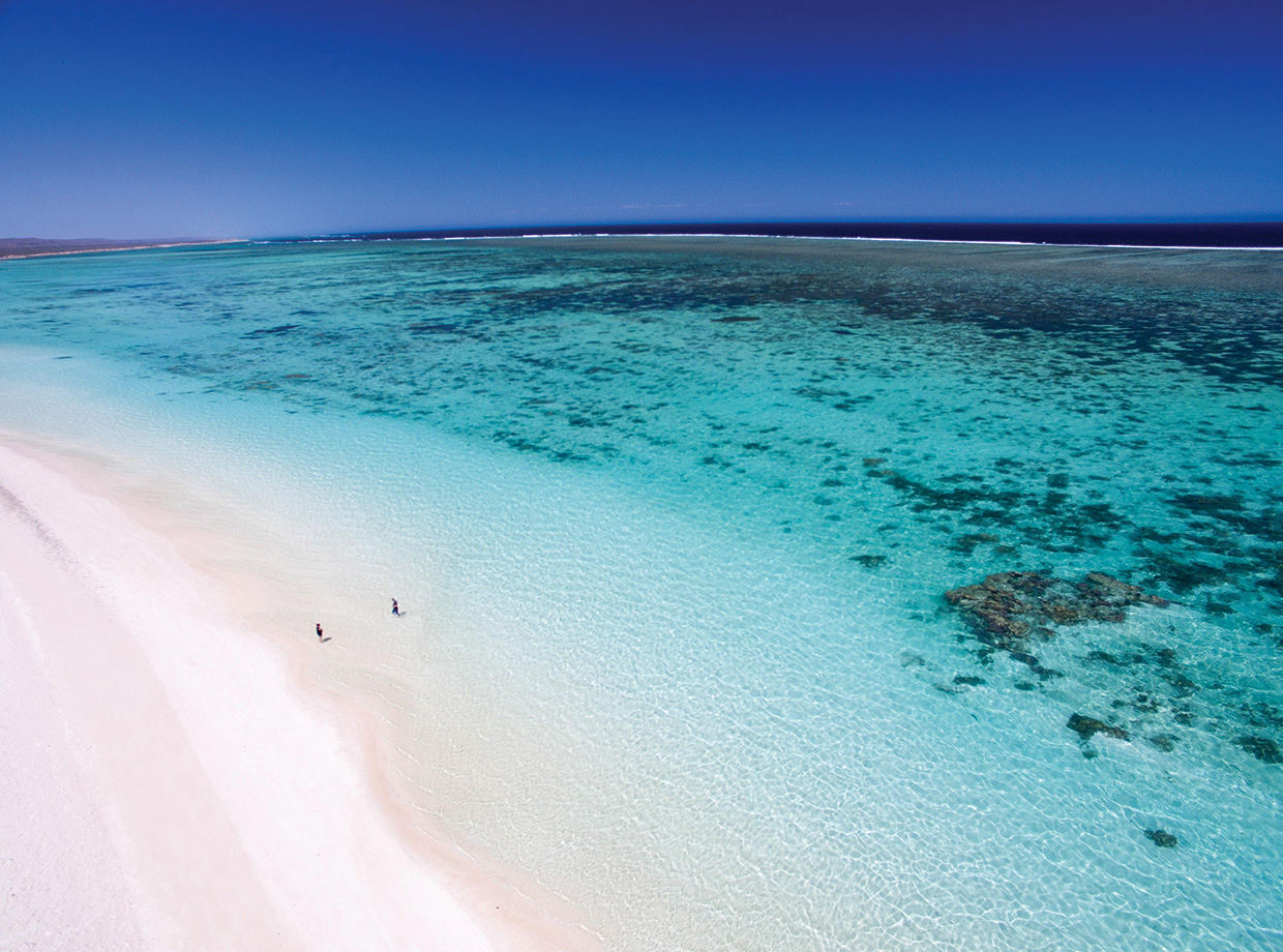 Sal Salis The hotel sits along a coastline with mind-blowing beaches that look like this. The water is clear and warm and made for coral reef adventures. This is paradise. 