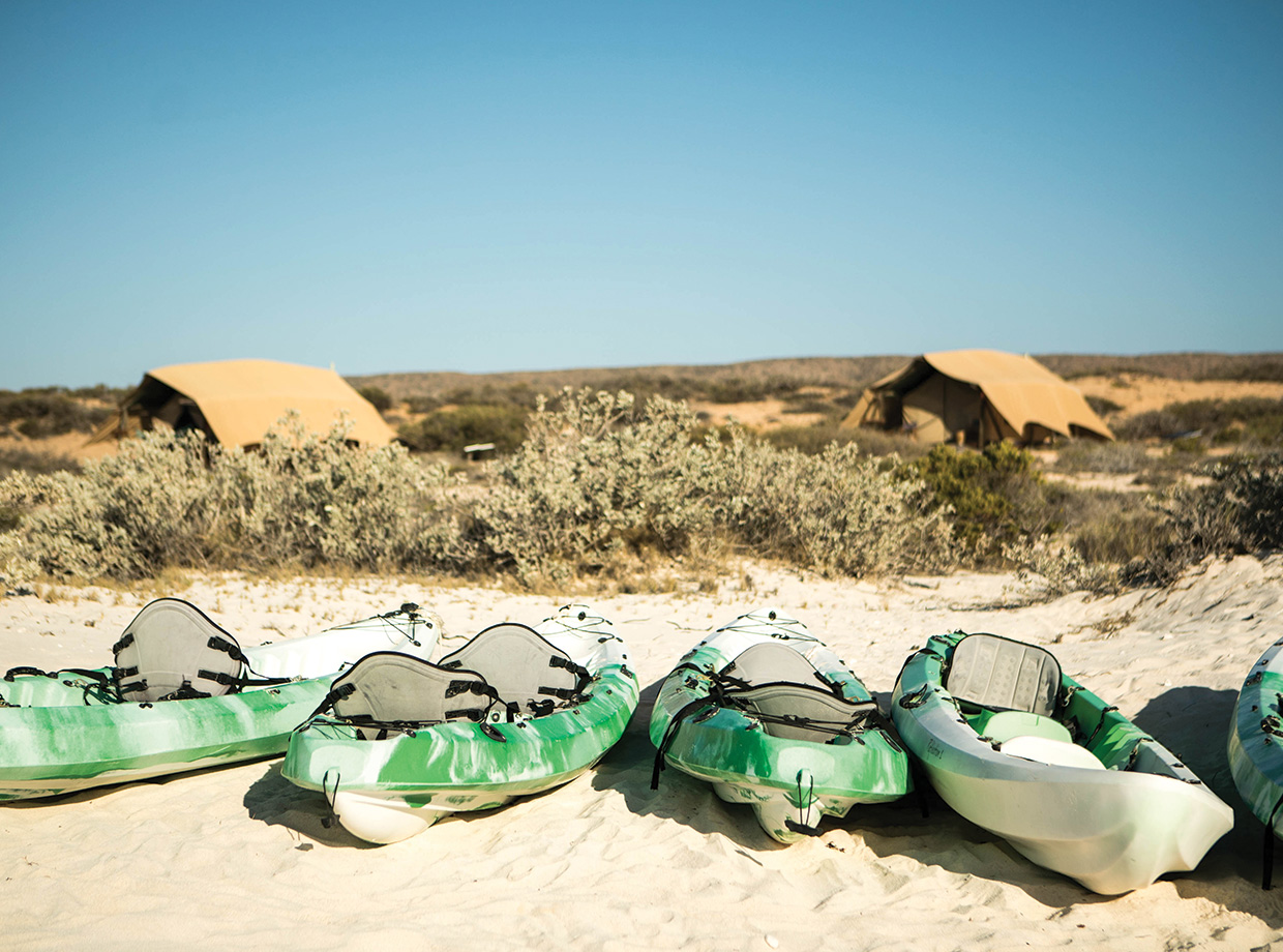 Sal Salis Kayaks are available to take out on the kayak trail on the hotel’s private beach. Tie your kayak up at the buoy and snorkel out in the deeper reef off shore.  