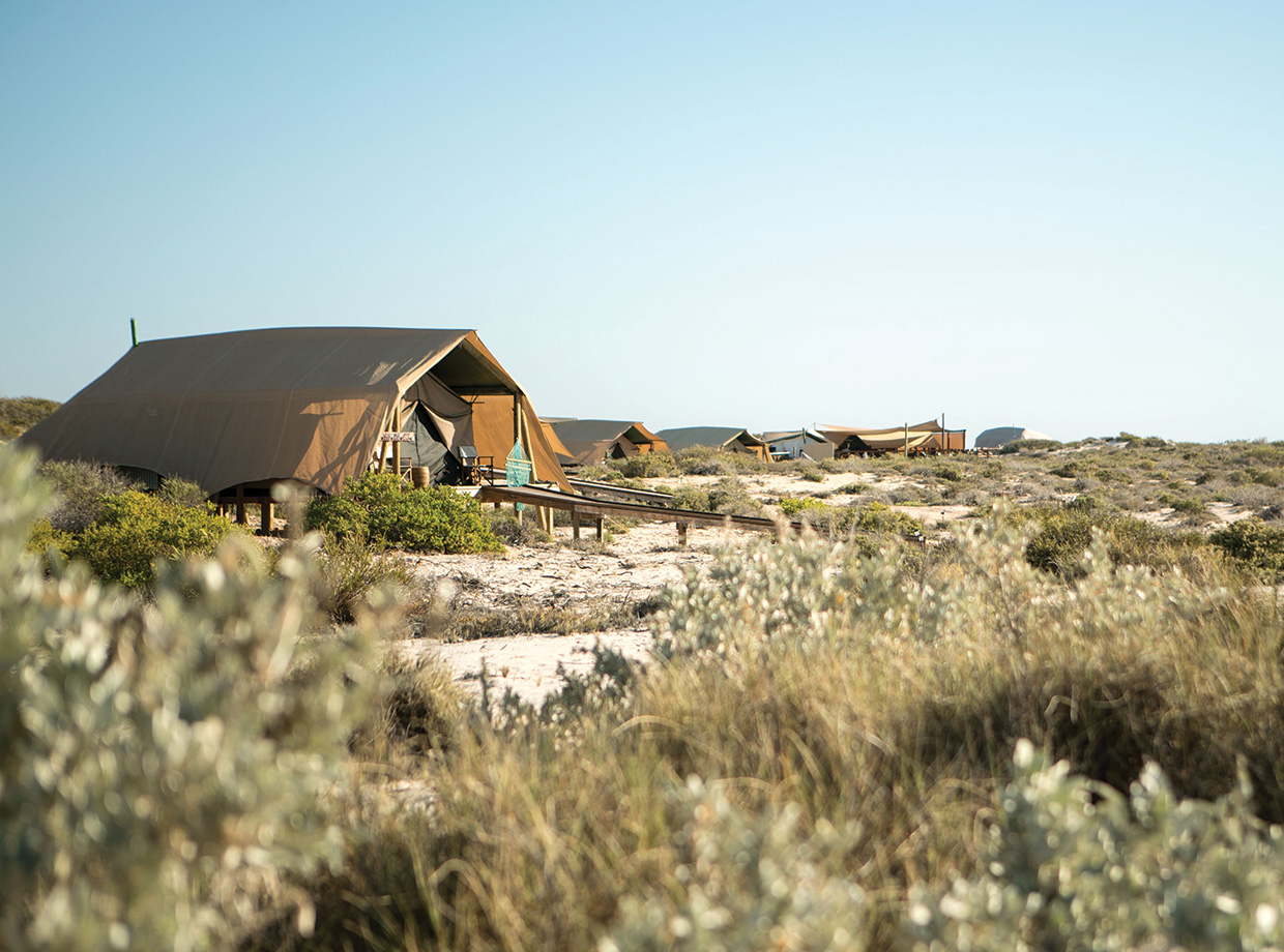 Sal Salis 15 tents tucked into the sand dunes, making them feel protected from the elements and very private. 