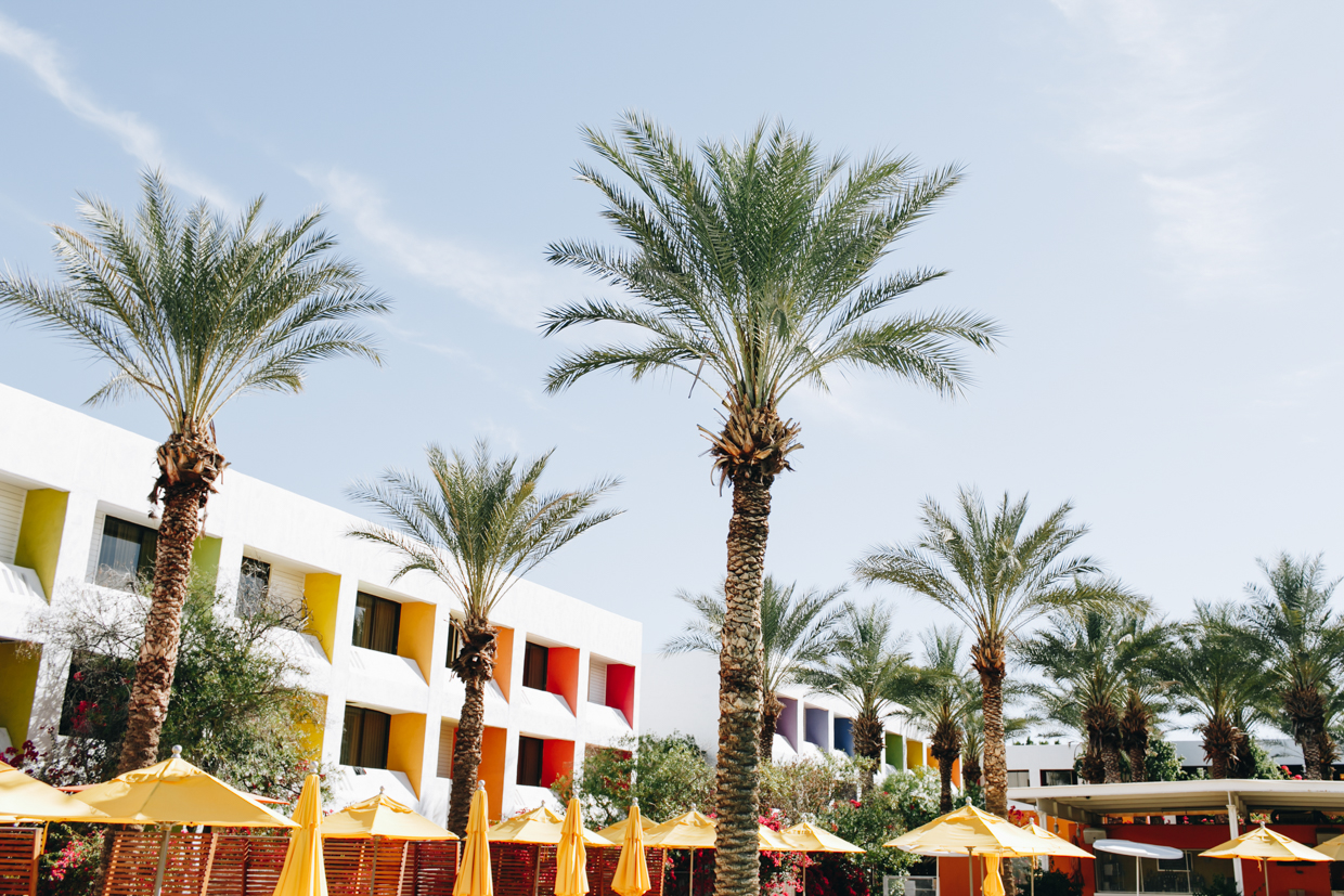 The Saguaro Scottsdale Vacation ambiance…check!
