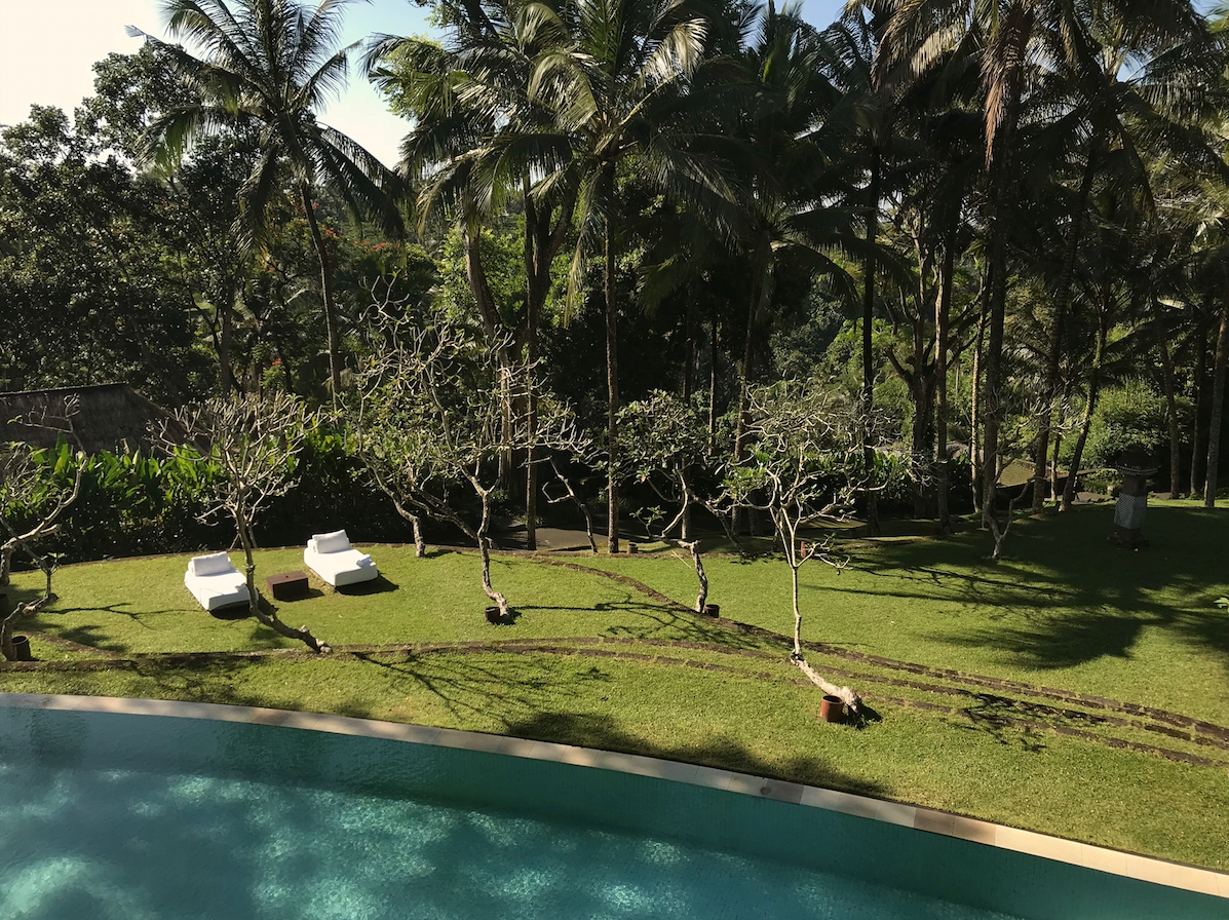 COMO Shambhala Estate Every corner of the property is manicured. There are 300 staff and they sure are working hard on that lawn. You can also see the 25m lap pool. 