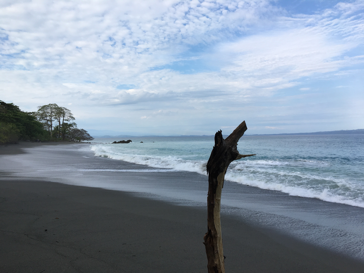 Lapa Rios The beach is so close to walk to it is ridiculous.  Loads of crabs, lizards and monkeys in the trees.  There is good surf and guests can get boards and surfing lessons.