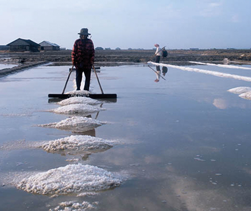 Learn about rural Cambodian life. Visit a pepper farm, salt fields and a colourful pagoda. 