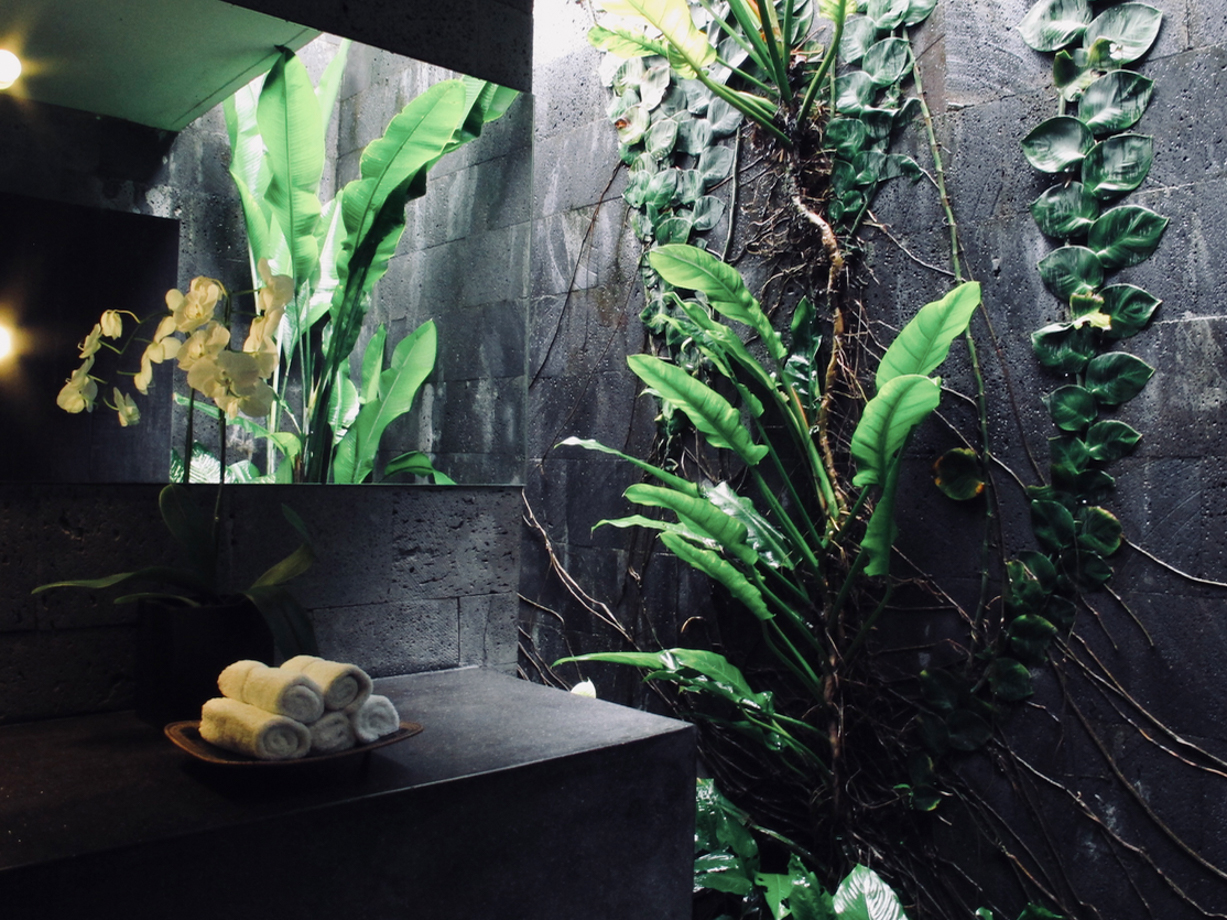 Como Uma Ubud  I had to show this off. How stunning is this bathroom in the restaurant? I’ll move to Indonesia just for the plants growing on the walls. 
