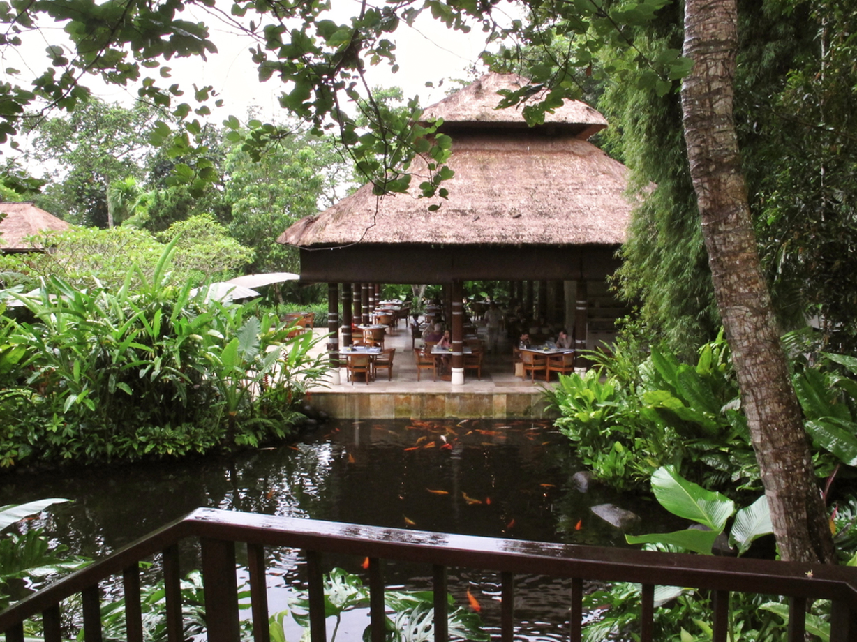 Como Uma Ubud The stunning restaurant with a pond serving delicious breakfast buffet. I had a bubur ikan, which is a savoury Indonesian porridge with fish, chili and spices. There is a selection of western food too of course. 
