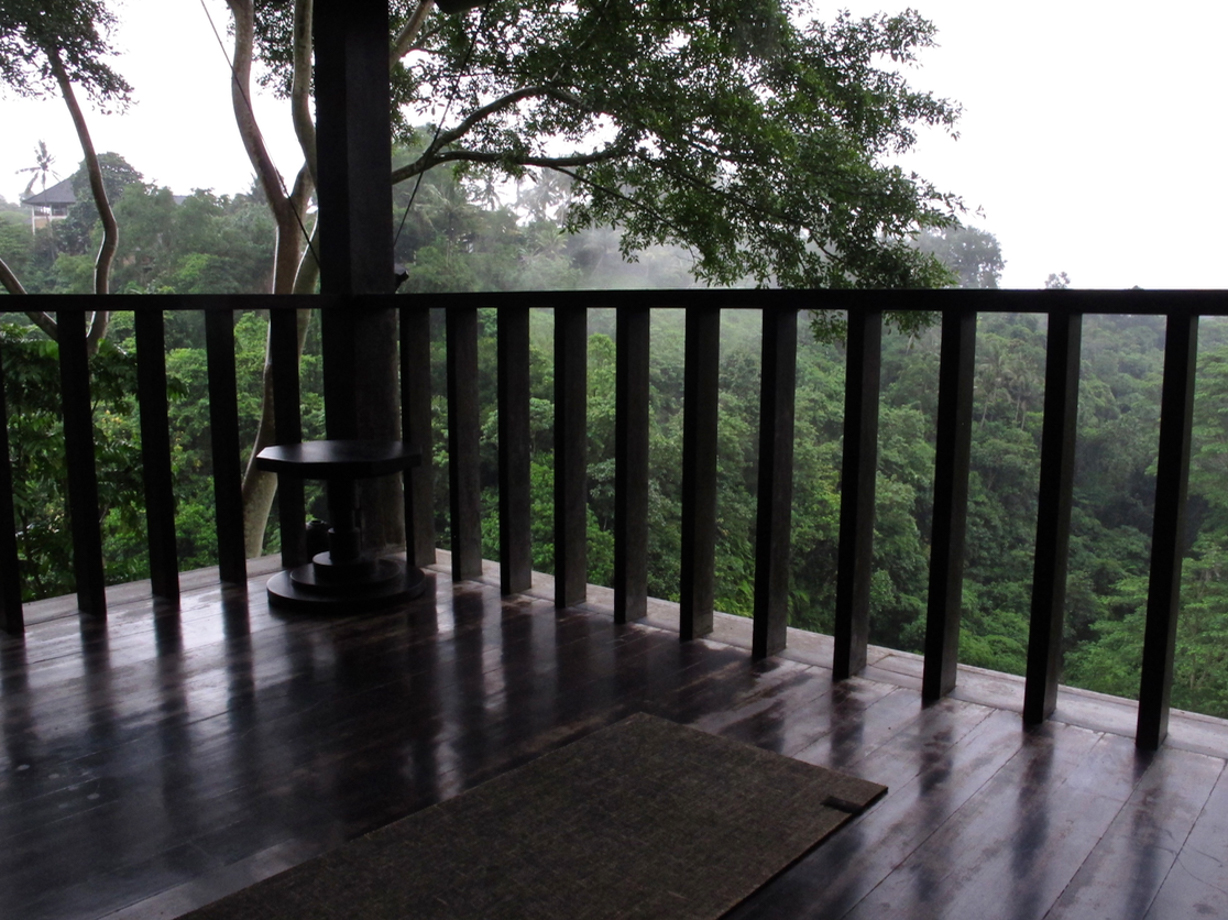 Como Uma Ubud The second yoga pavilion has jaw dropping views. It hangs over the rainforest and you can lose yourself watching it. This is where Tarzan lives right?
