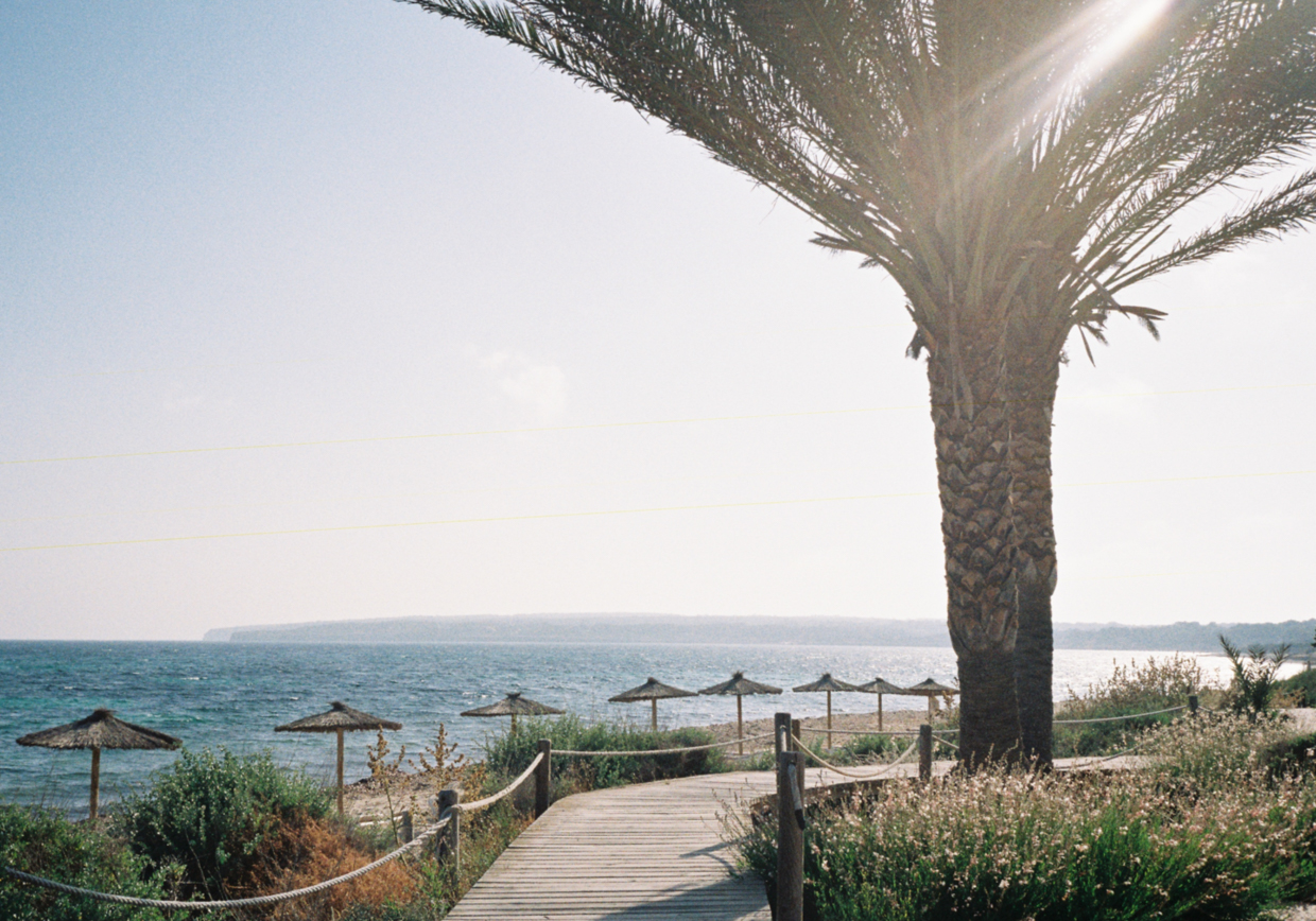 GECKO HOTEL & BEACH CLUB FORMENTERA Wandering around the property.