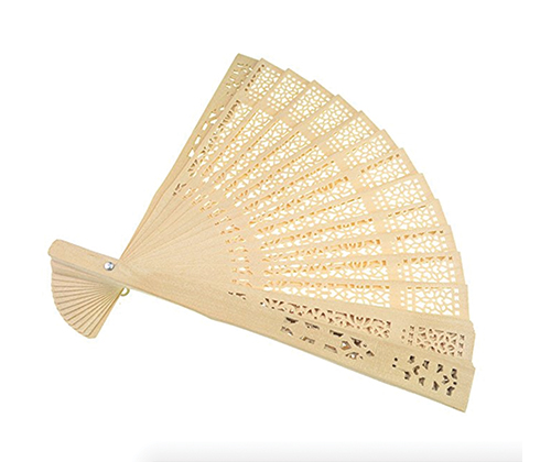 A cheap fan 