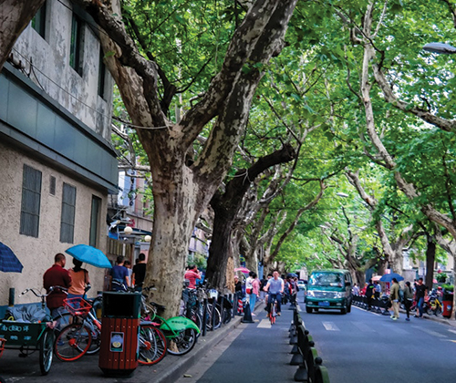 Stroll around The Former French Concession and/or The Bund