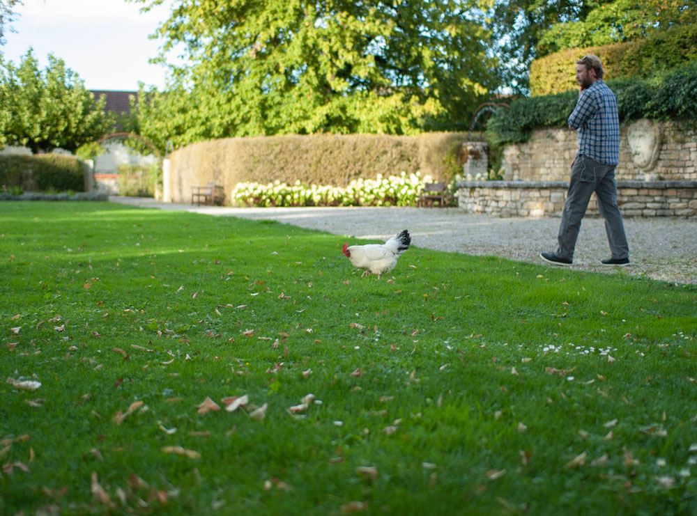 Hôtel Château de Germigney Our chicken friend shows us around.