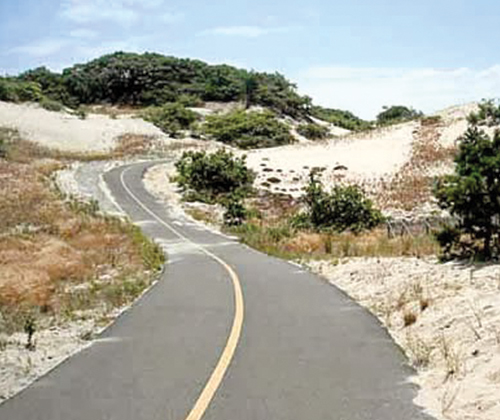  Go for a ride towards Race Point, where a series of bike trails take you through various little microclimates on the way to the ocean-facing beach.