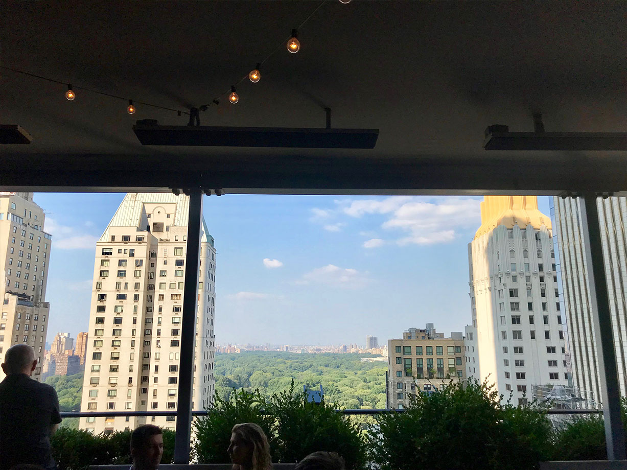 Viceroy Central Park Rooftop views.