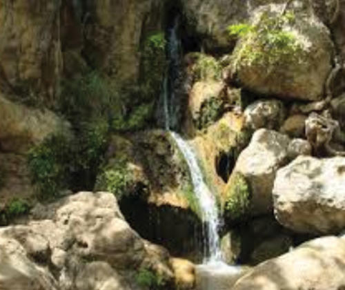 Three mile hiking trail with a waterfall only a 10-minute drive away from the hotel.
