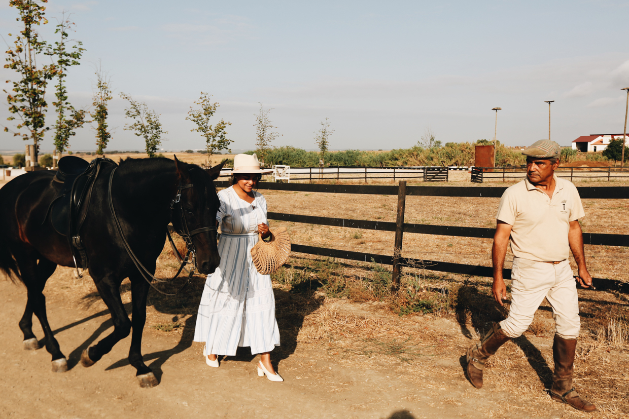 Torre De Palma Wine Hotel Riding a Lusitano horse – the hotel offers lessons! 