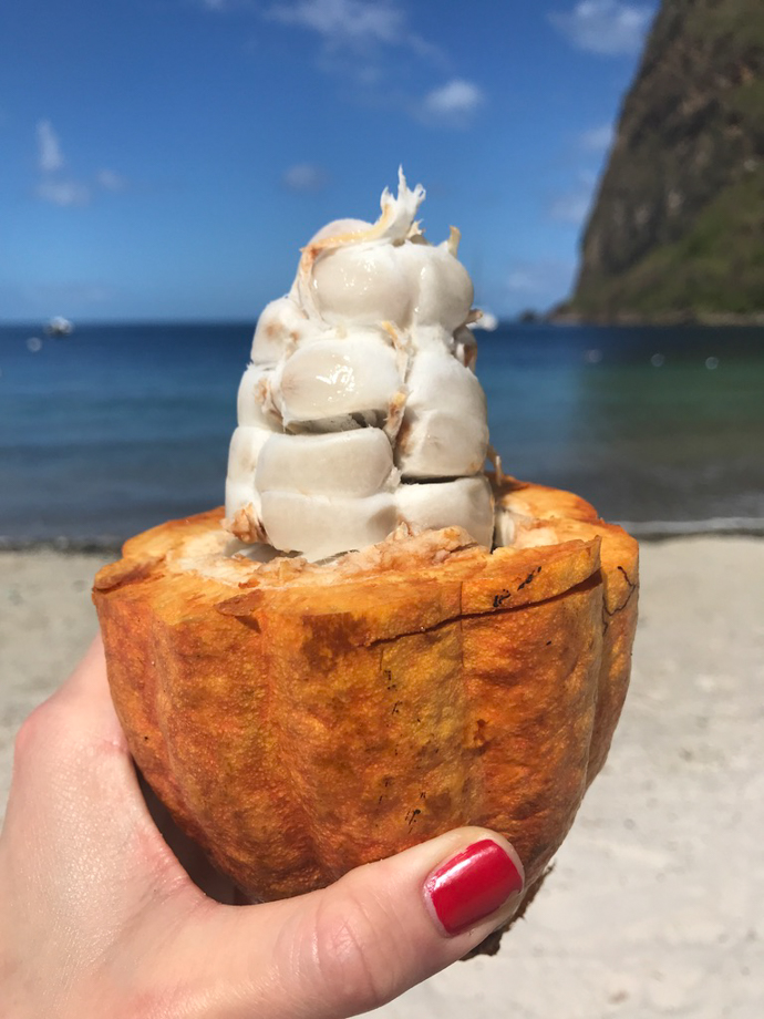 Viceroy Sugar Beach And deliciously sweet cacao pod, also on the beach!
