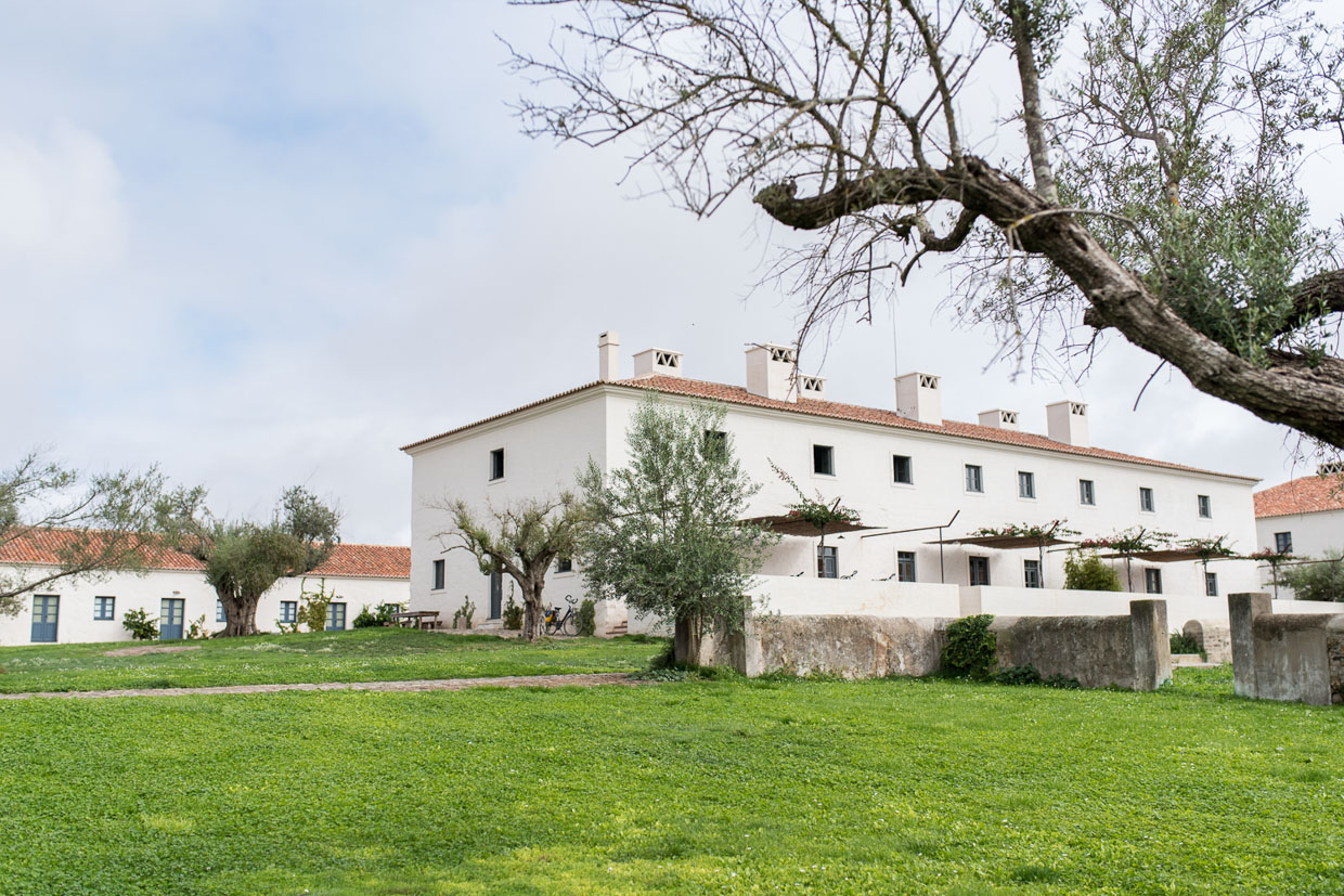 São Lourenço do Barrocal The estate.