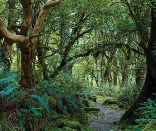 Check out the rainforest, go to the food market at castries, explore all the beaches.