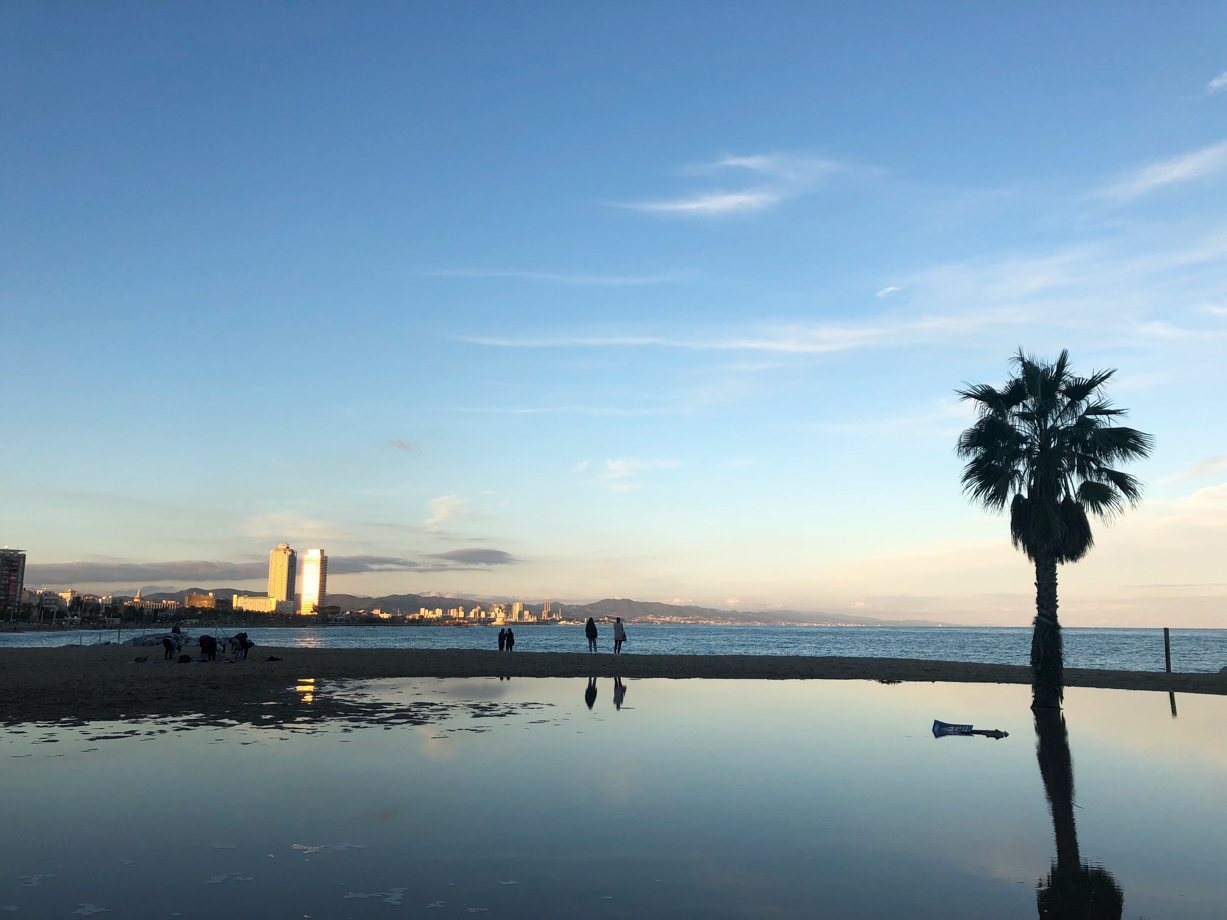 The Barcelona EDITION It takes you 15 minutes to walk from the hotel to the beach. During the weekends you can pass through the local farmers market, or wake up early to enjoy the sun rising from the ocean.