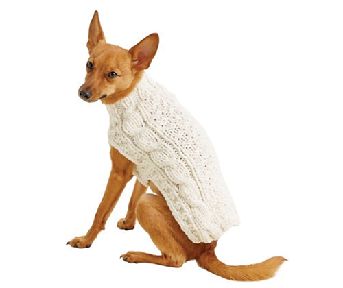 A Cream Fisherman style cable knit doggie sweater. 