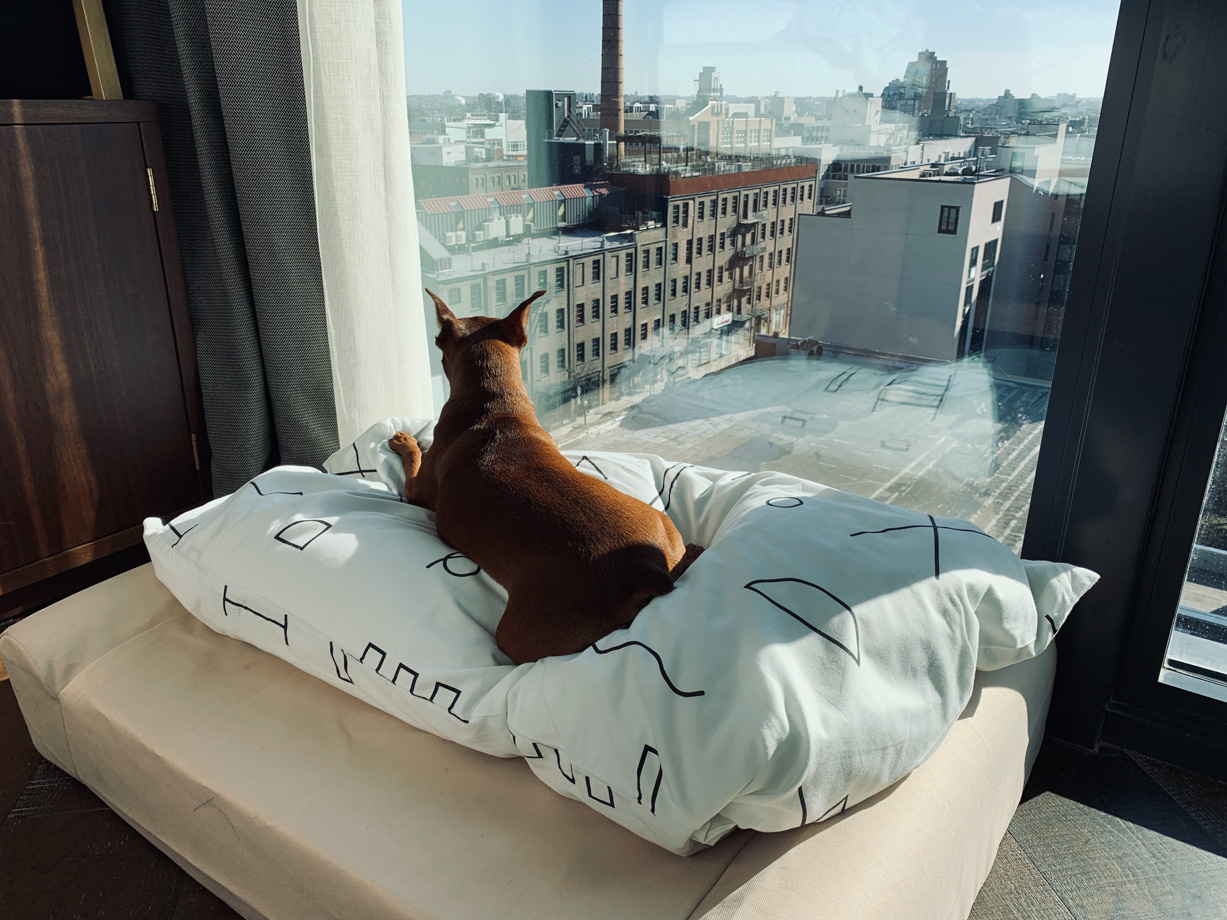 Hoxton Williamsburg Jojo loved this luxury pet amenity, a cozy pink bed delivered to match her dog bowls provided by the front desk when checking in. 