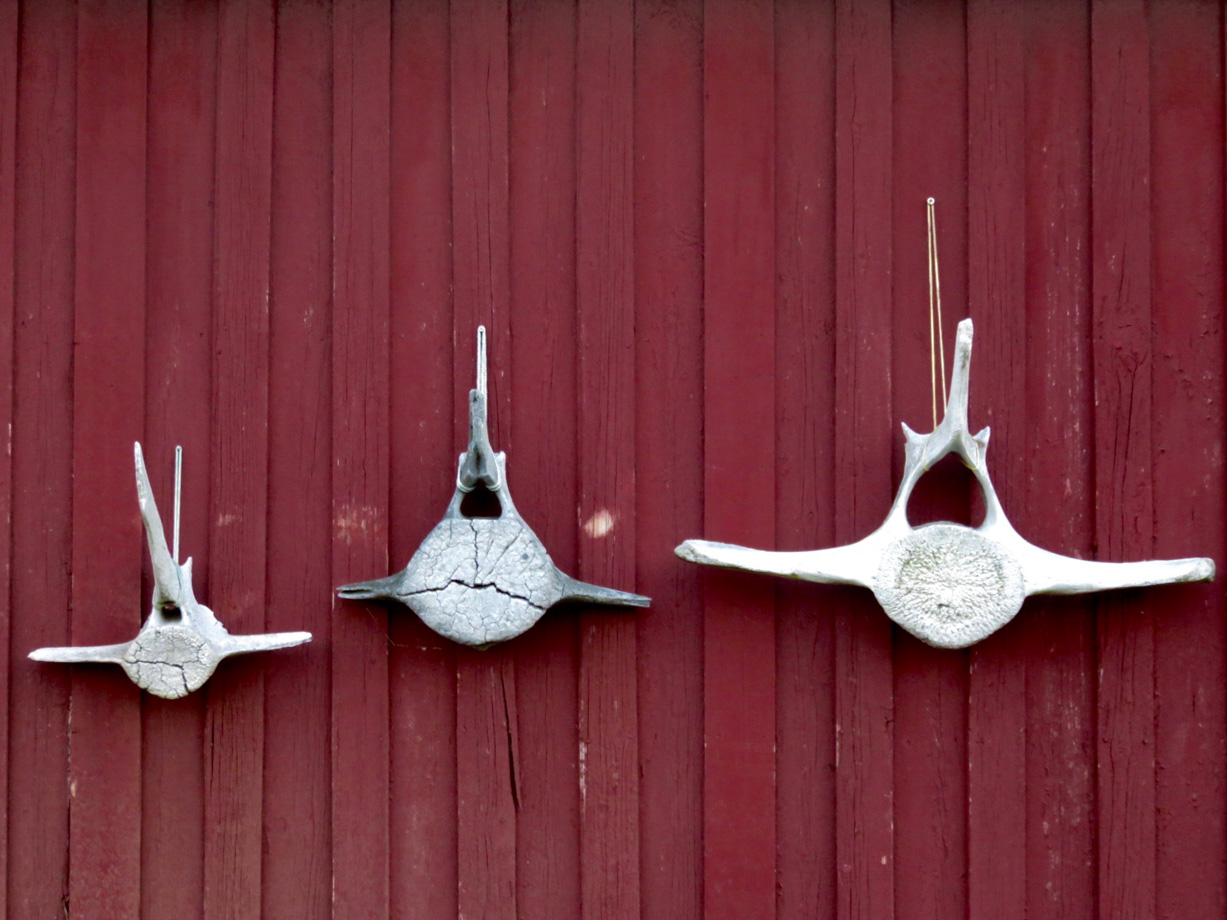Manshausen Whale bones for decoration – the hotel uses the available resources in some of the most creative ways.
