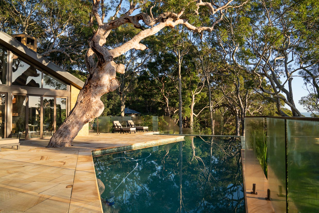 Pretty Beach House The pool at the main house, sitting under a 400-year old tree. 
