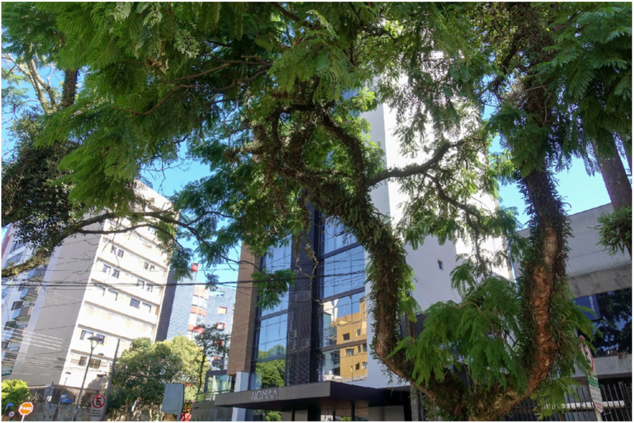 Nomaa Hotel Curitiba is one of the biggest metropolitan areas of Brazil but, luckily,
is also one of the greenest cities in the country, with tall gorgeous trees sneaking in between buildings, like in the tranquil street where Nomaa Hotel is located.
