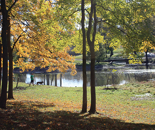 Visit Shelby Park in East Nashville