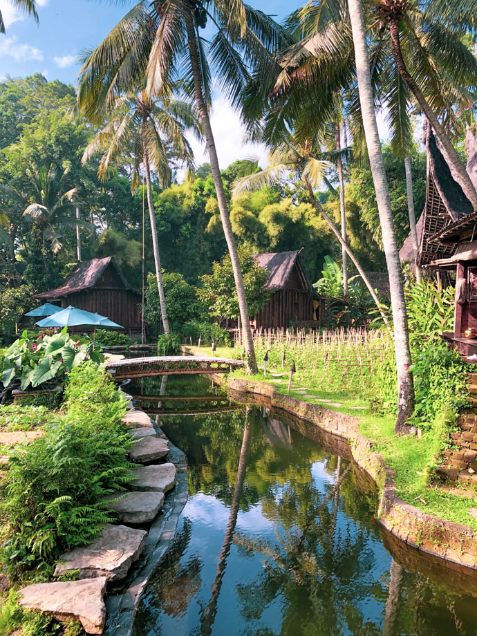 Bambu Indah Our natural swimming pool. 