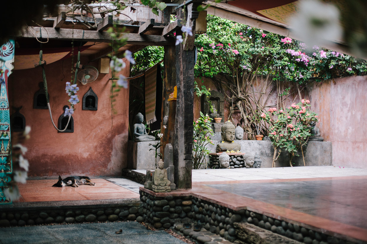 The Temple Lodge The yoga shala with resident pooch sleeping – it’s a very relaxing space. Yoga is every morning at 8am. 