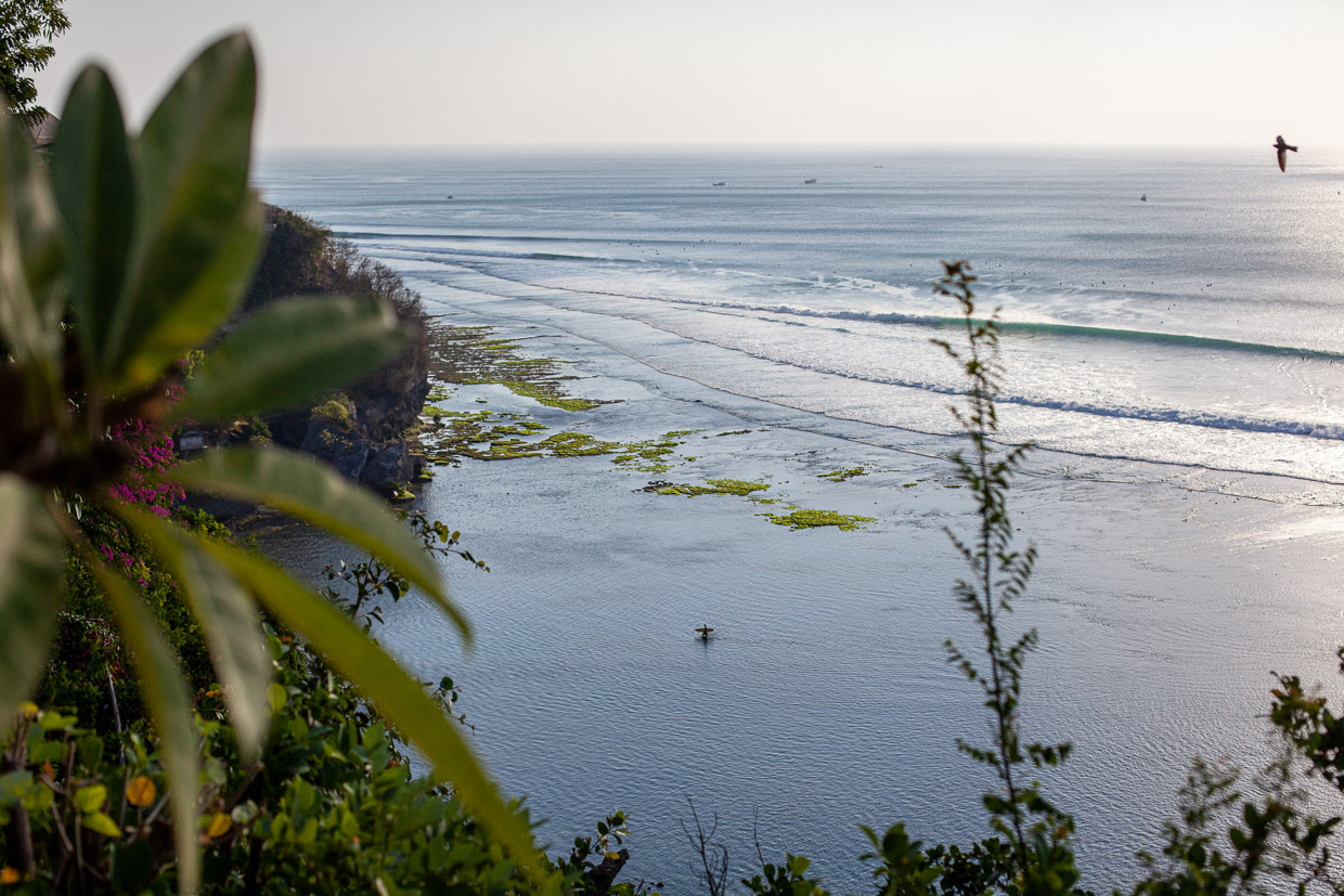 The Temple Lodge Views out to surfers in the line-up at Impossibles, and one walking back over the reef a low tide. 