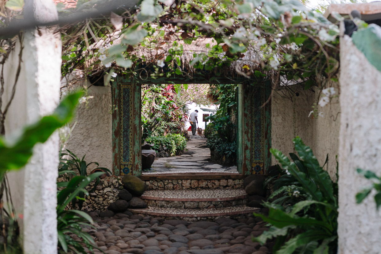 The Temple Lodge The enchanting entrance to The Temple Lodge – so lush and green. 