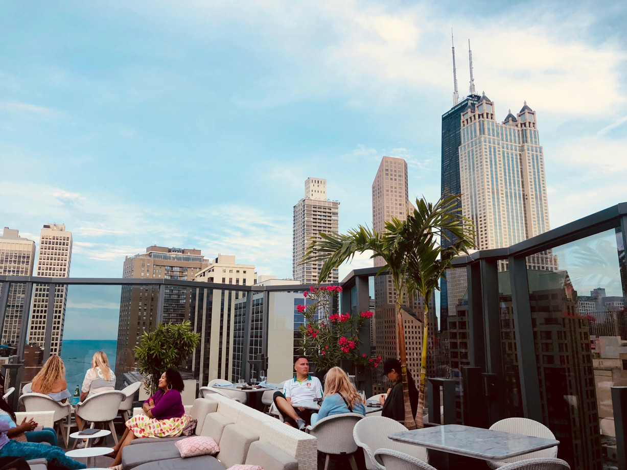 The Viceroy Chicago Roof view at Devereaux.