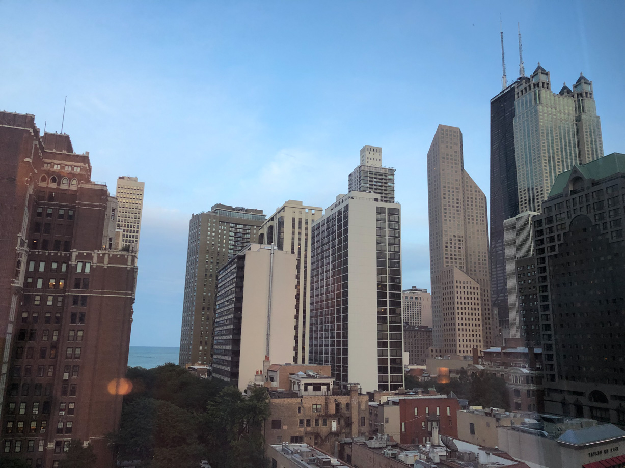 The Viceroy Chicago View from room.   