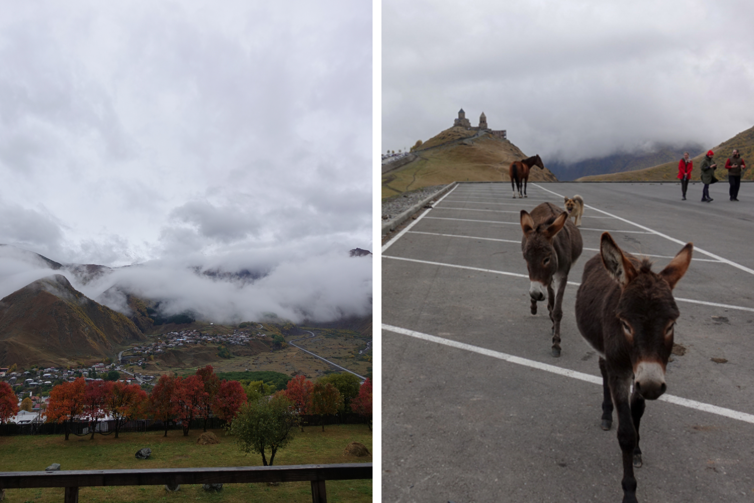 Rooms Hotel Kazbegi Visiting the Gergeti Trinity Church on a pretty dramatic day to make new friends.