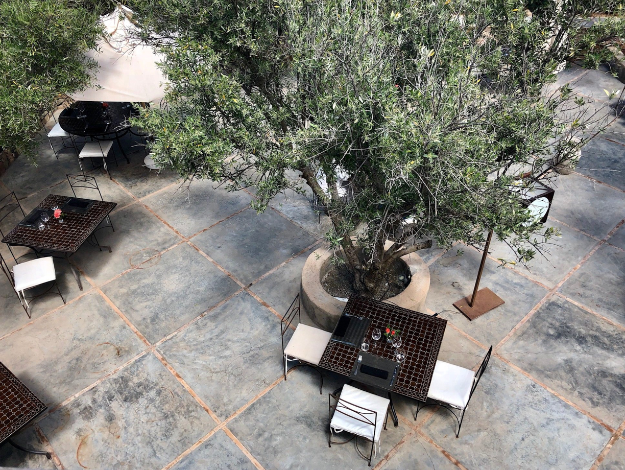 The Capaldi Hotel Looking down from a terrace onto the olive tree-strewn dining patio.
