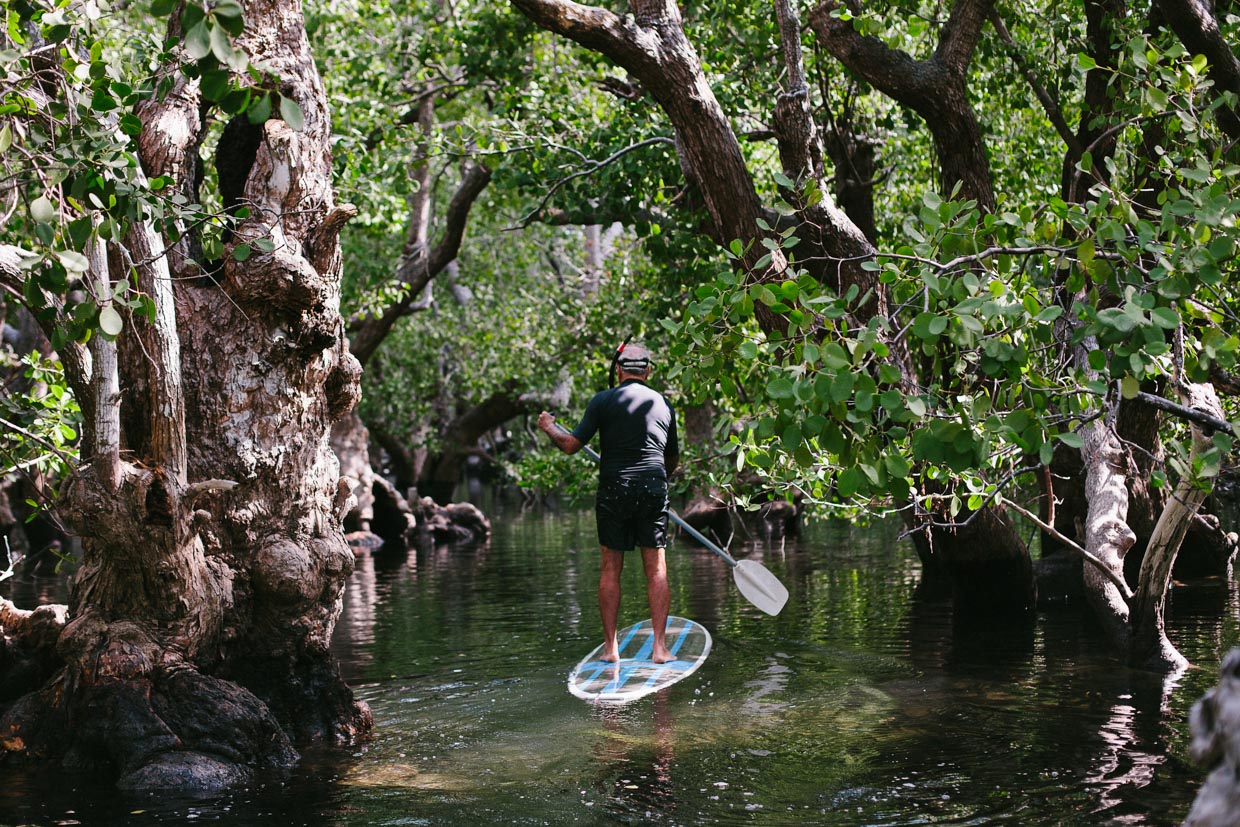 Utopia Your tour guide Mario paddling through the mangroves, also the hotel owner. 