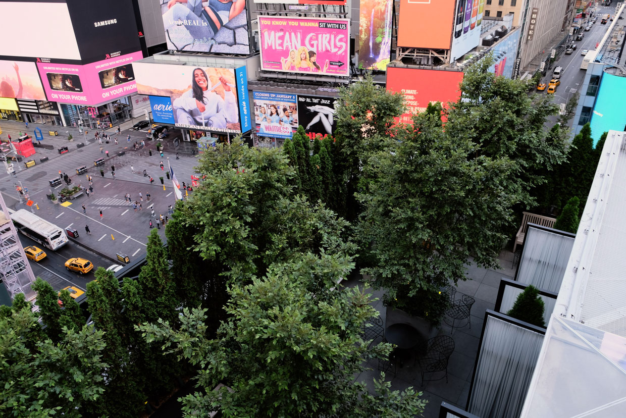 The Times Square EDITION I adore this view. The crazy madness of Times Square versus the oasis of green and lush terrace. 