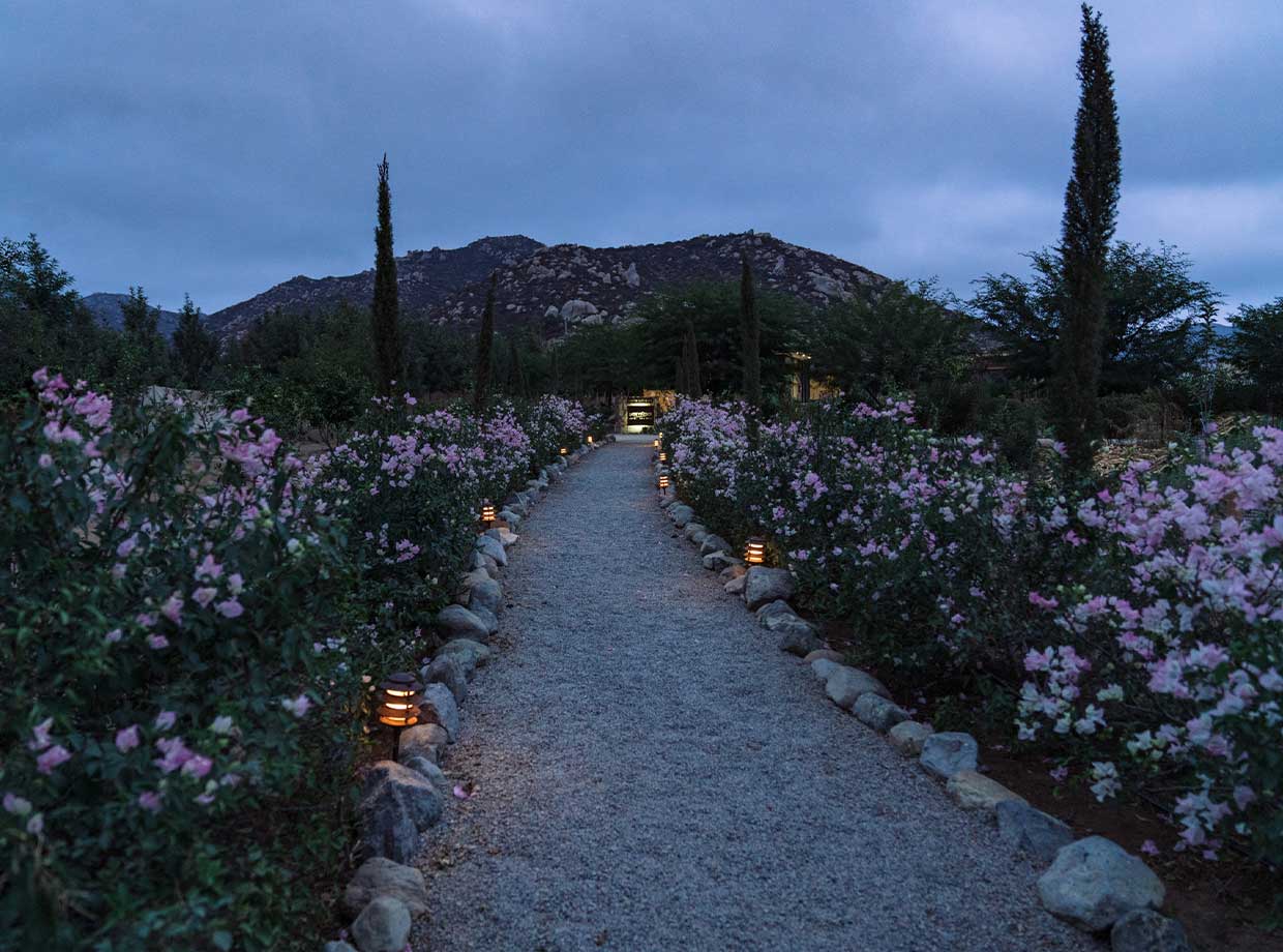 Hotel Boutique Valle De Guadalupe A tranquil walk to my room after a delicious sunset dinner at Fuego.