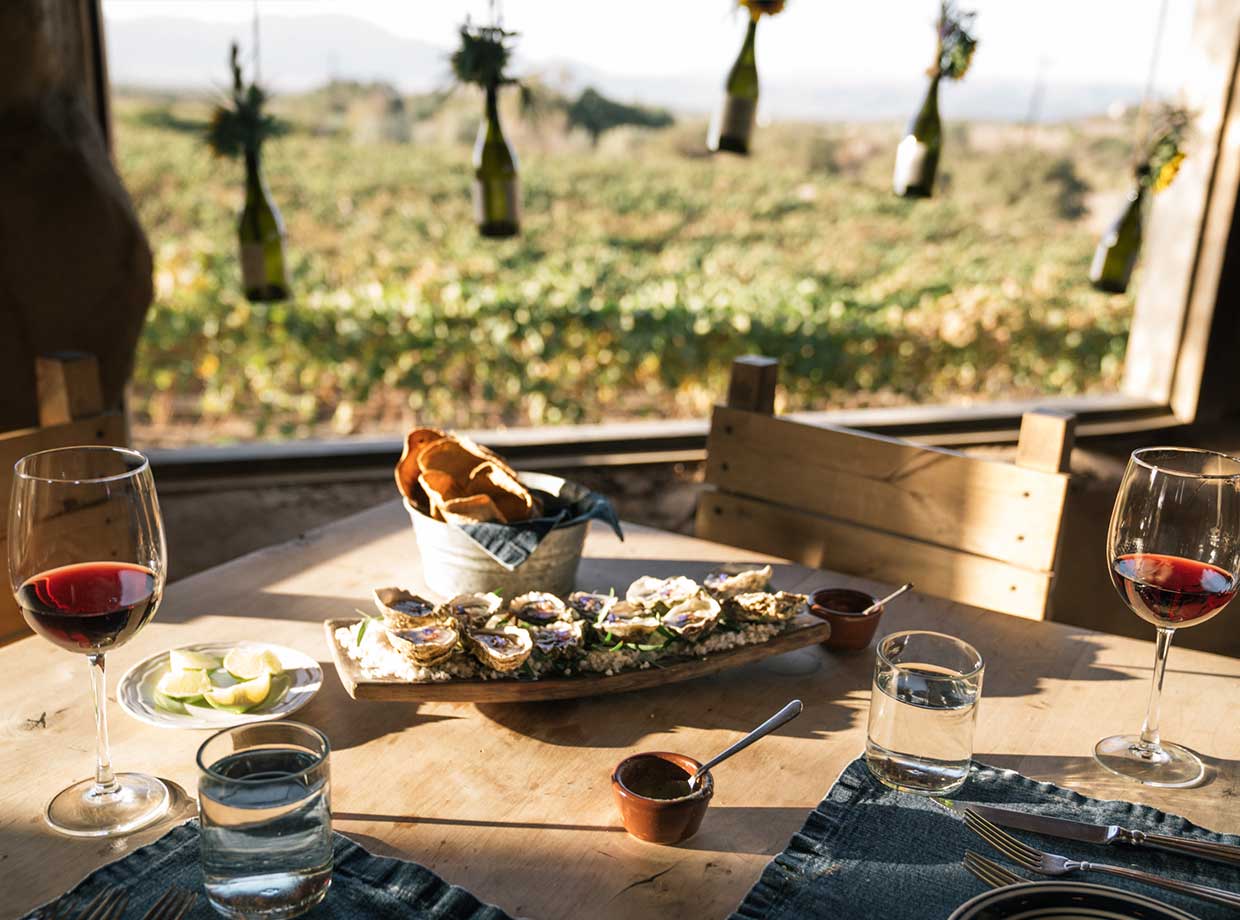 Hotel Boutique Valle De Guadalupe Deckman’s spread - fresh oysters and wine from the winery.