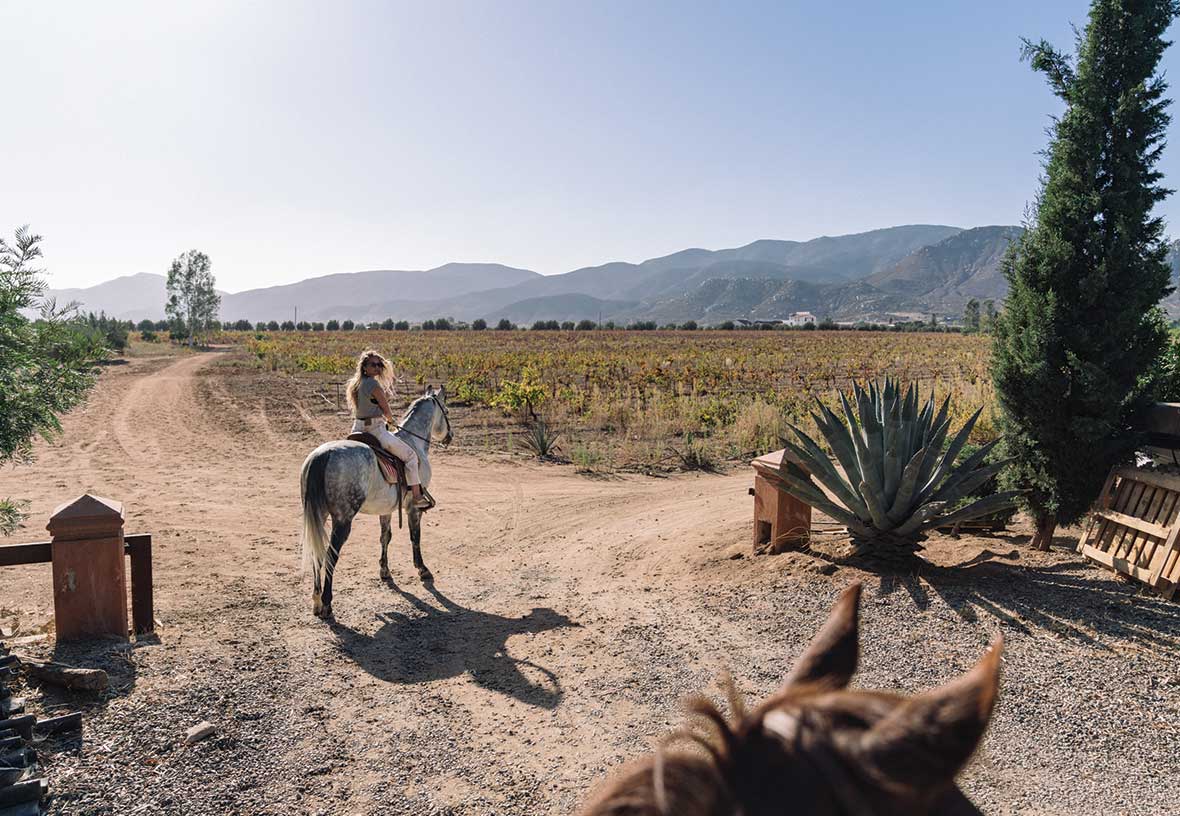 Hotel Boutique Valle De Guadalupe