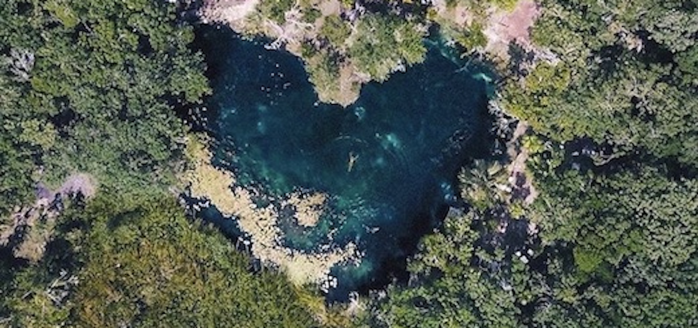 The Lessons We’re Learning About the Environment in Isolation