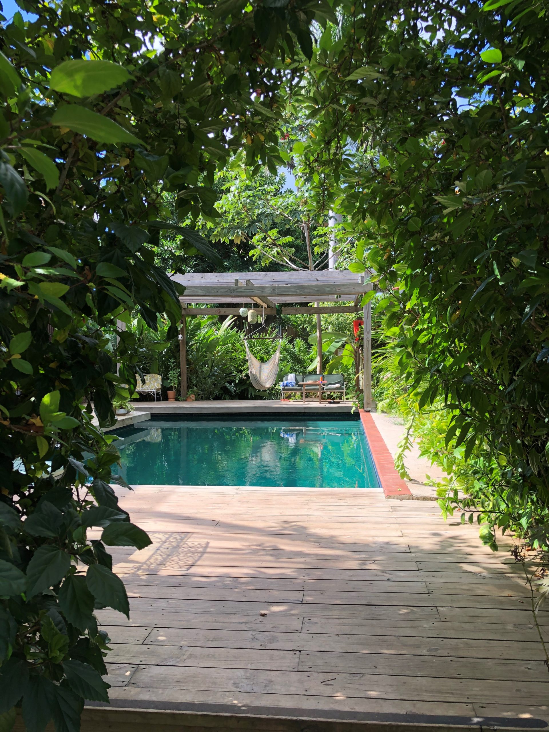 Jungle Tree Casa Escape Finca Victoria’s pool area which offers complimentary morning yoga with breakfast.