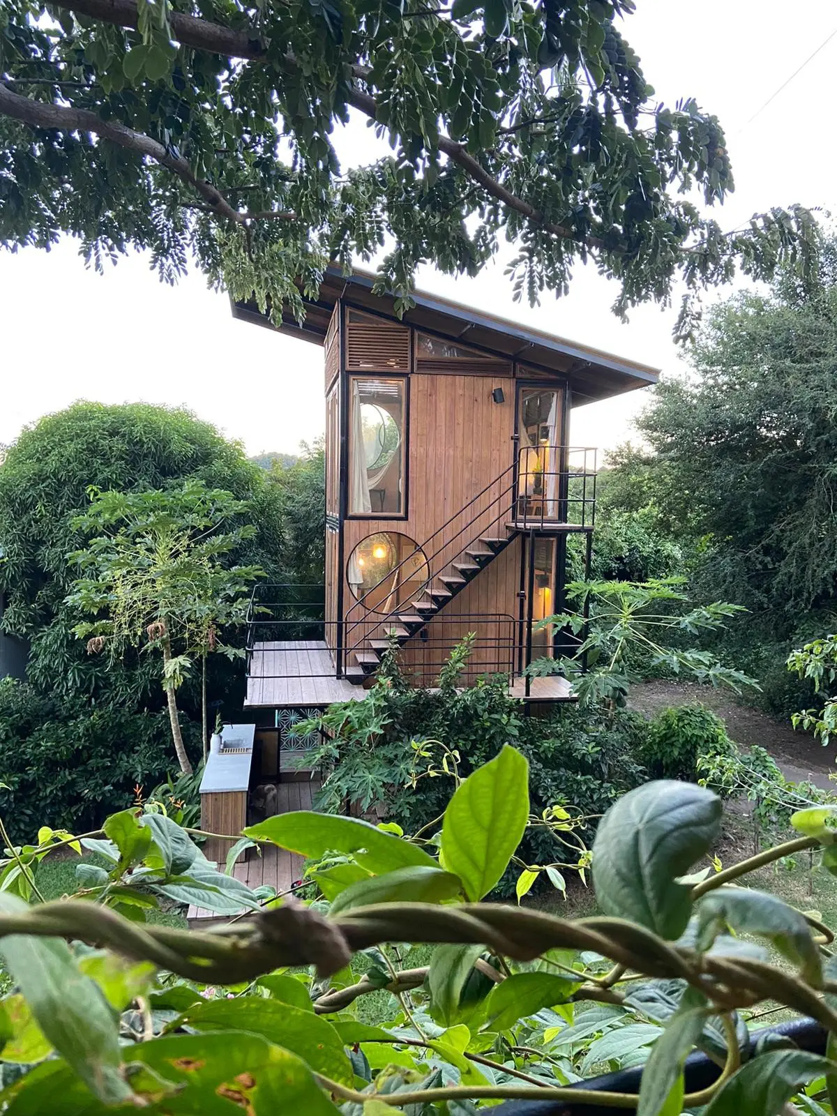 Jungle Tree Casa Escape Another great shot of our little treehouse