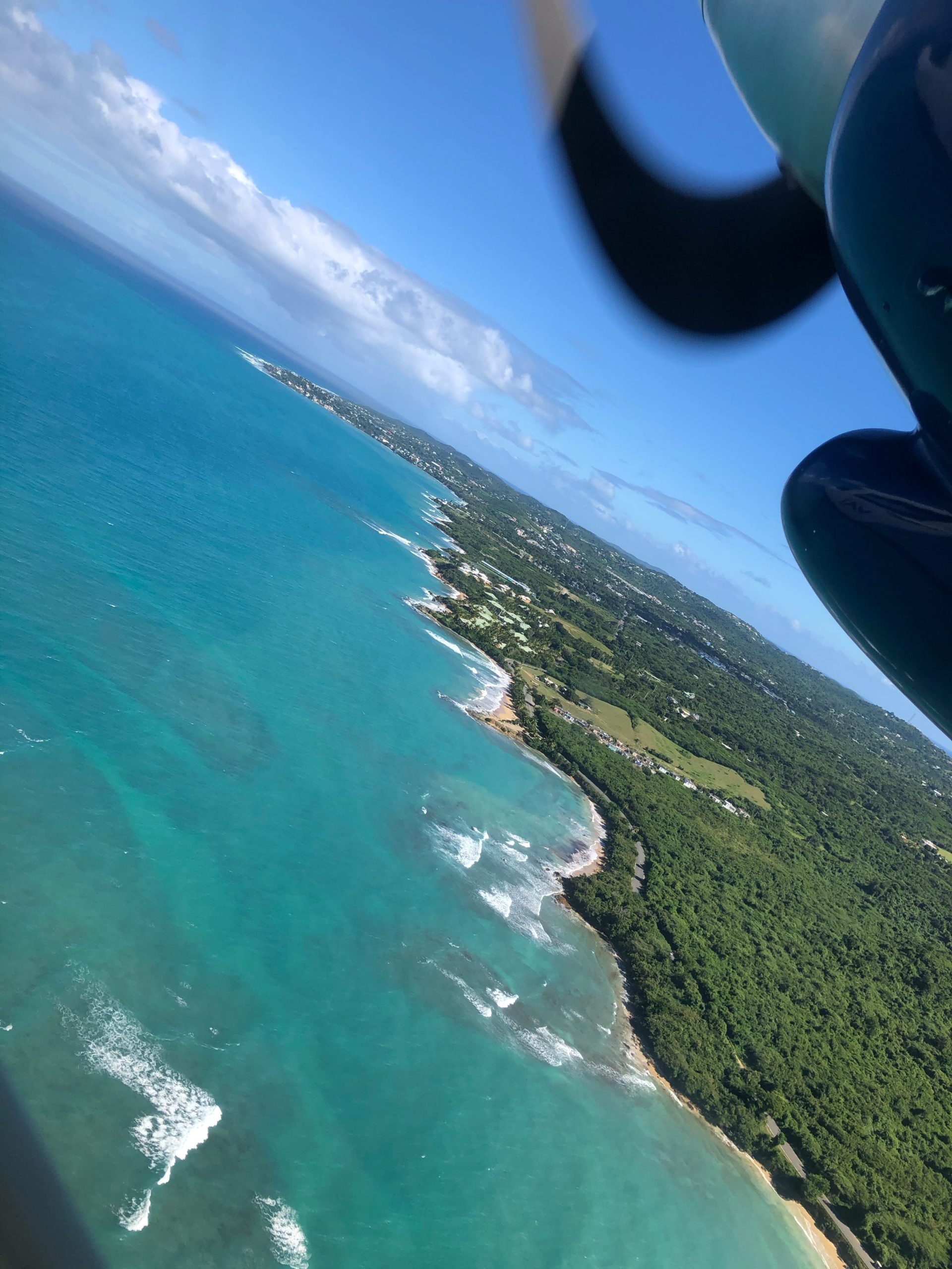 Jungle Tree Casa Escape The view of both Puerto Rico’s main island and Vieques from the short flight is breathtaking for those not afraid of heights
