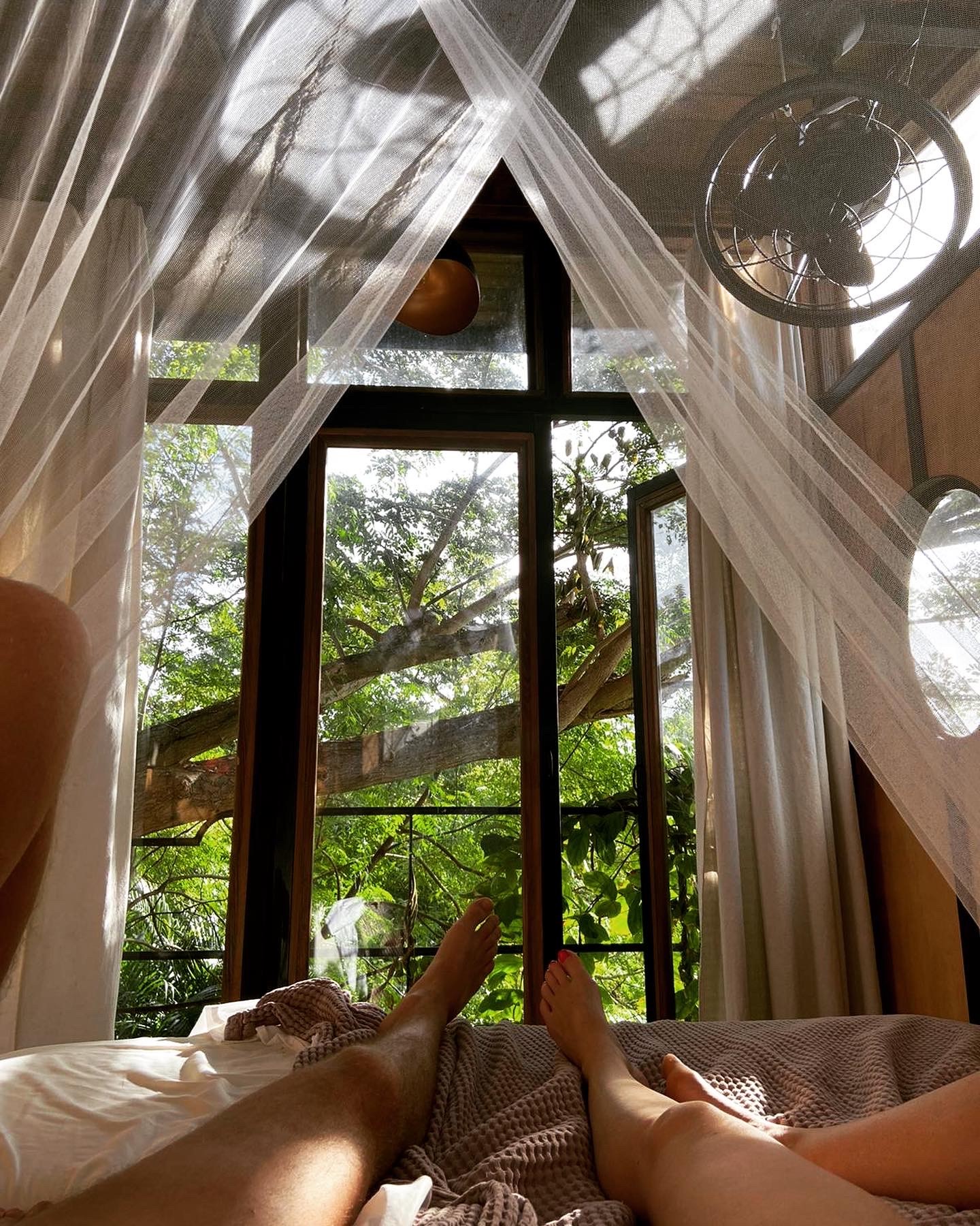 Jungle Tree Casa Escape Our tree house at Finca Victoria, the perfect spot to check in and check out