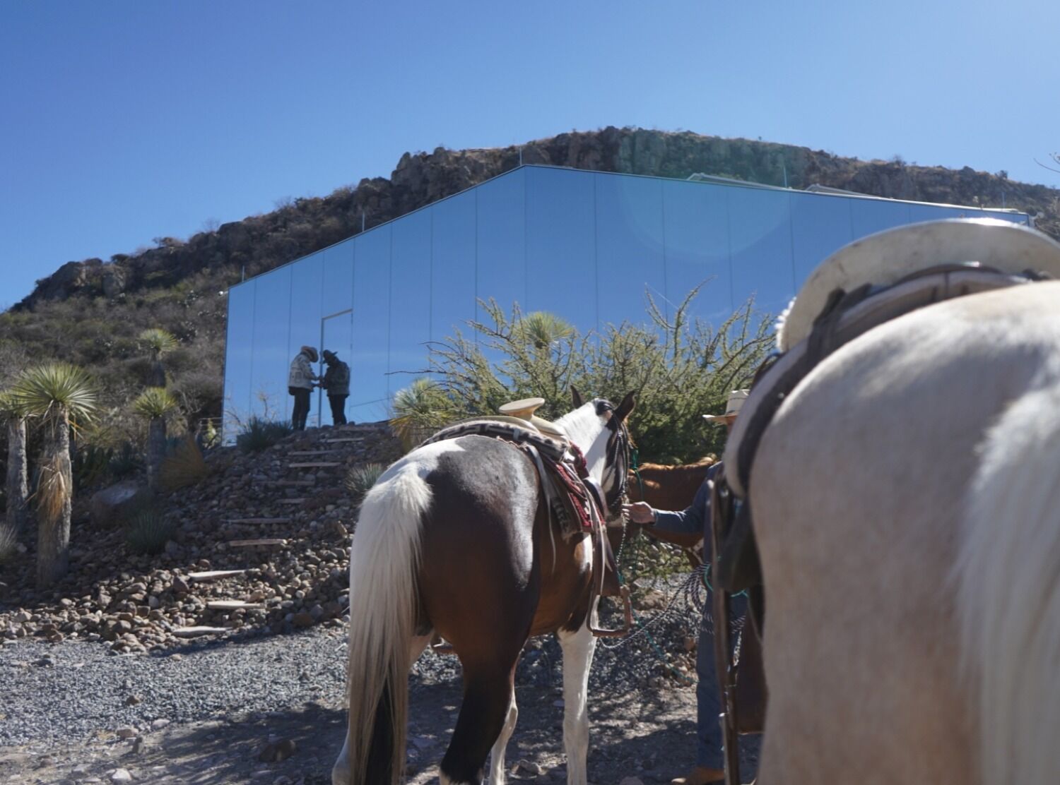 Casa Etérea Concho, a local cattle herder picked us up to climb up the mountain before breakfast.