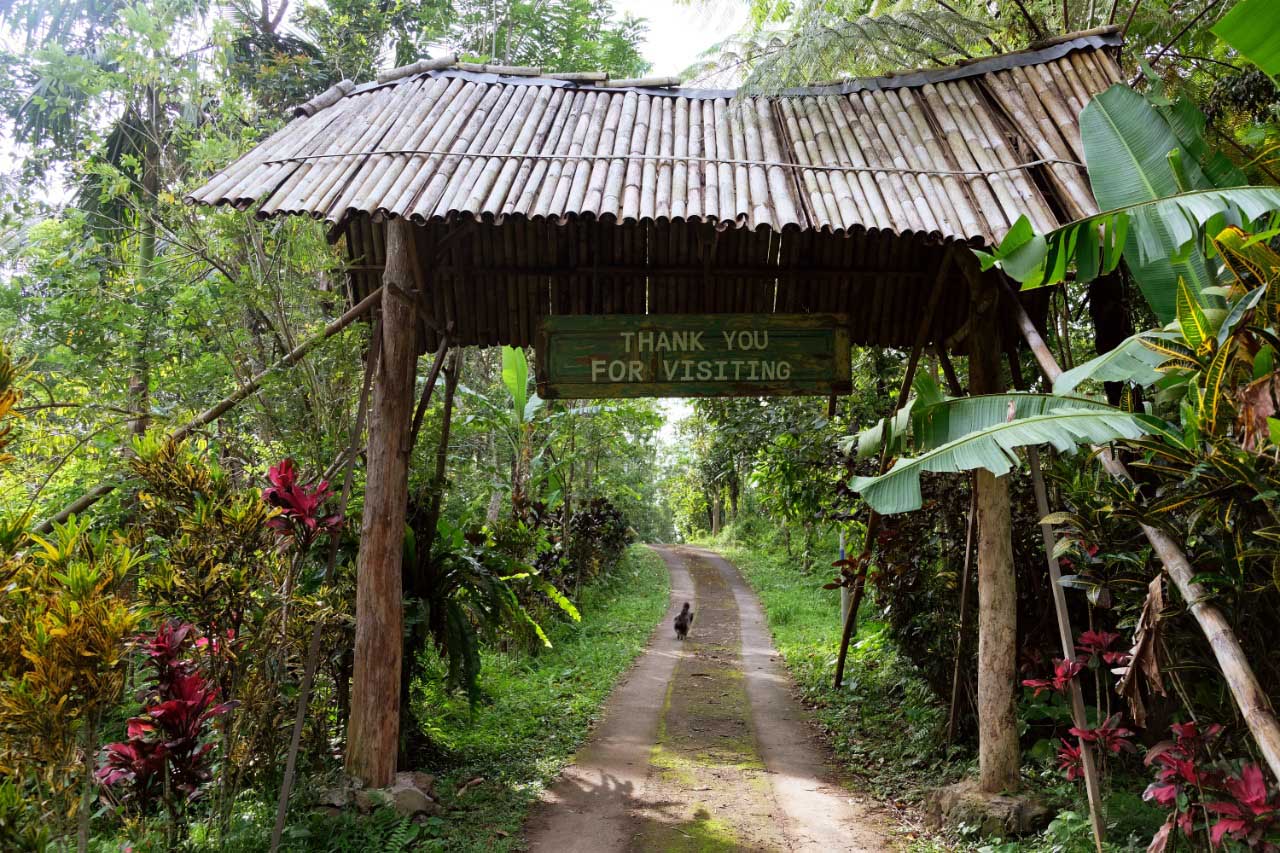 Batukaru Coffee Estate A deeply moving experience to stay here. 100% sustainable. If the world went under, (see pandemic) this place would be still thriving. 