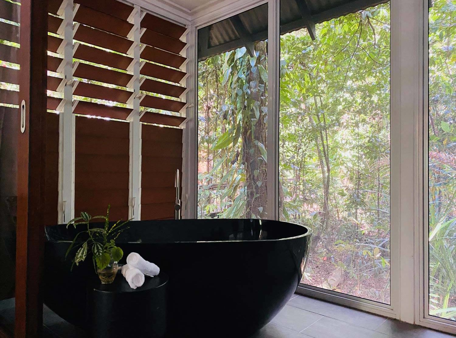 Daintree Ecolodge A bathtub nestled high in the rainforest canopy. A biocycle waste water treatment plant that allows 100% of the water to be recycled and used for irrigation and watering. 